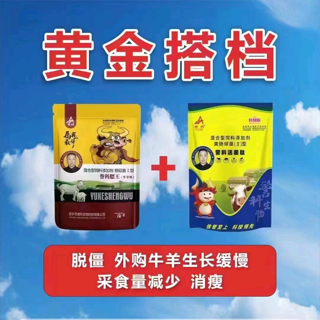 誉科膘王直销部-凯歌