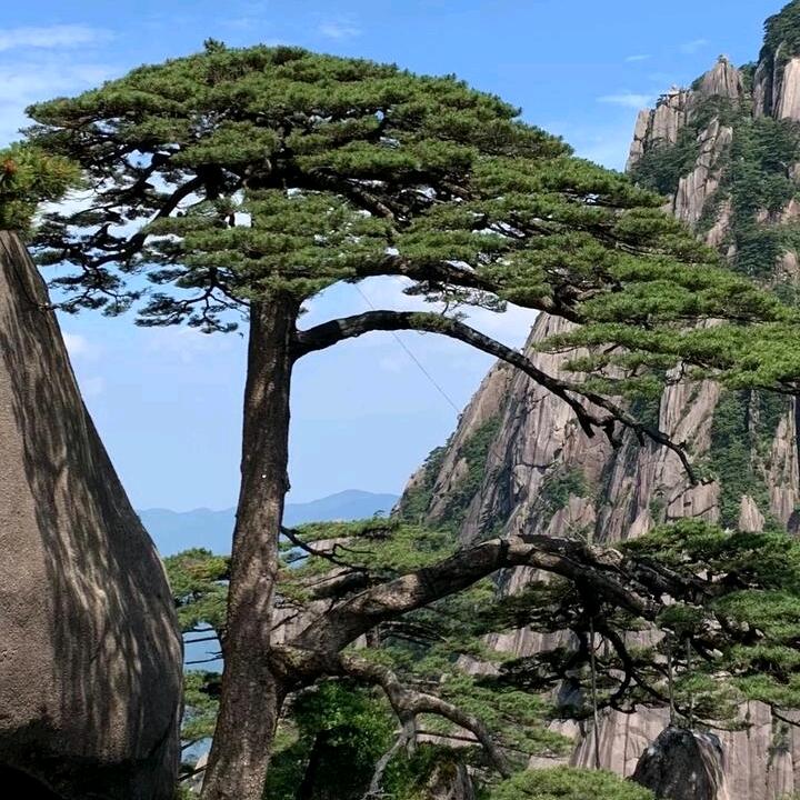 皇阿玛