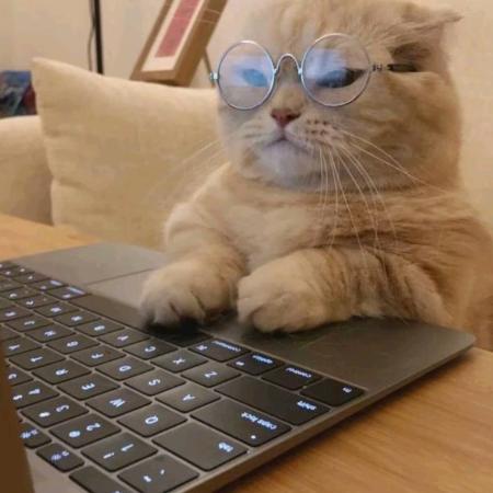 ฅʕ小浣熊•ʔฅ