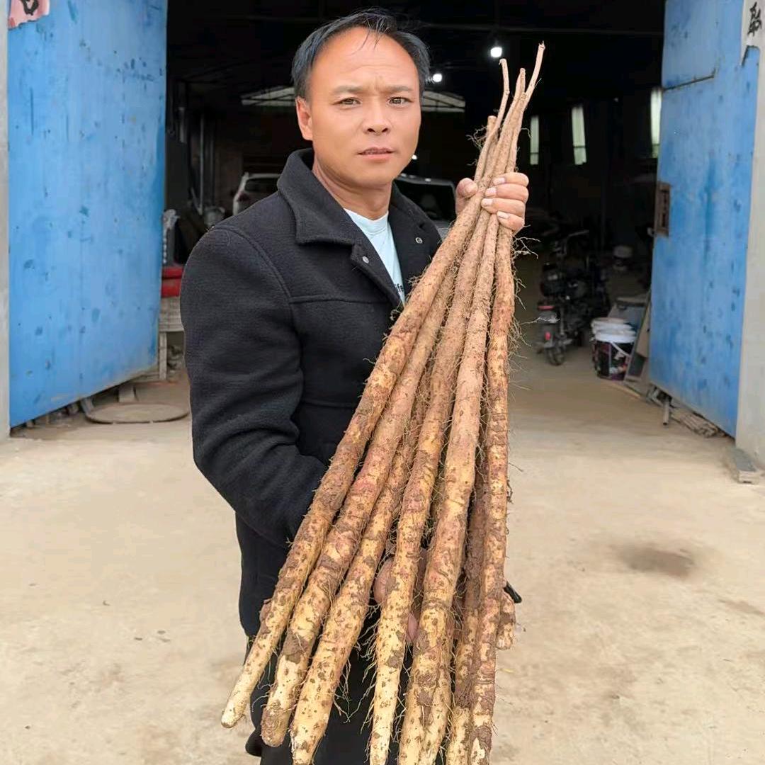温县汇盛家庭农场