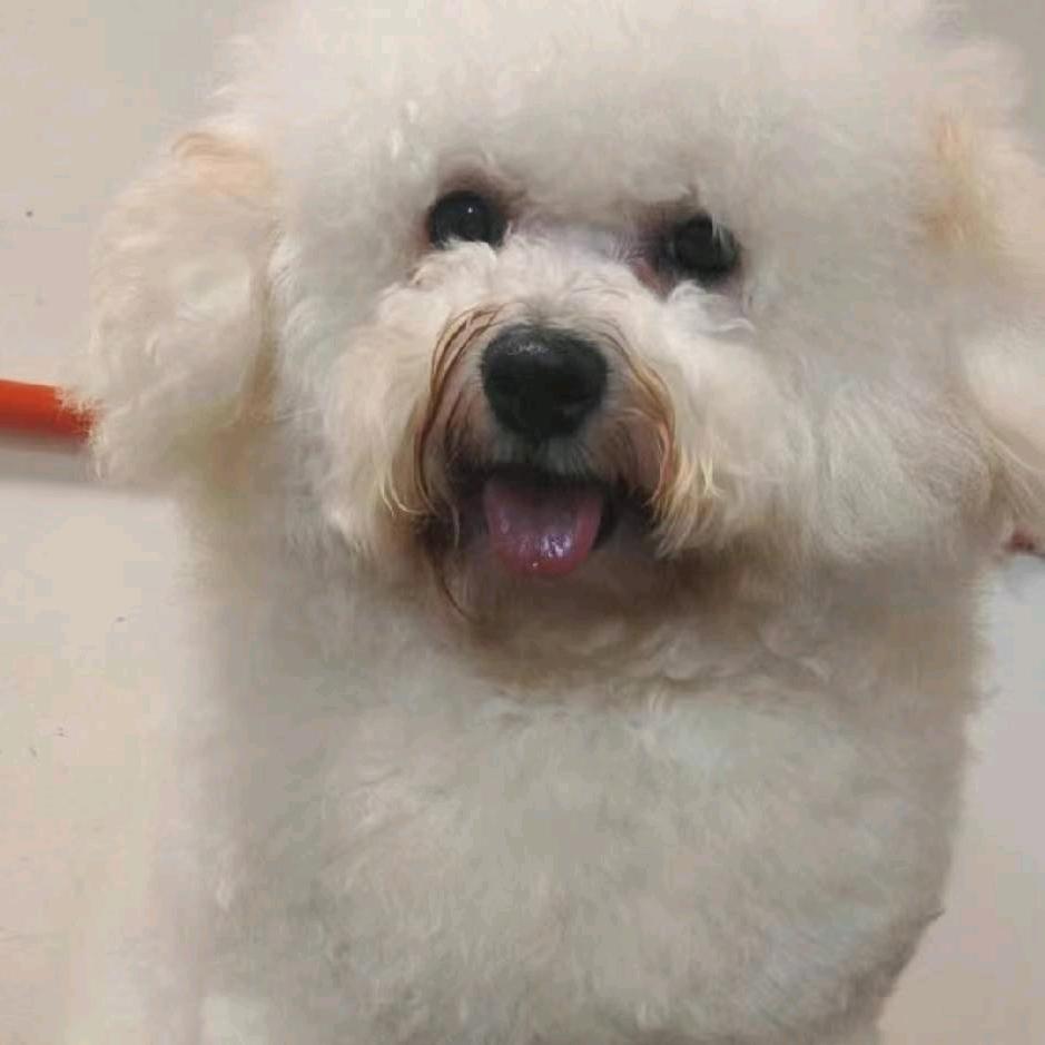 🐶宝儿带刺的女人🐶