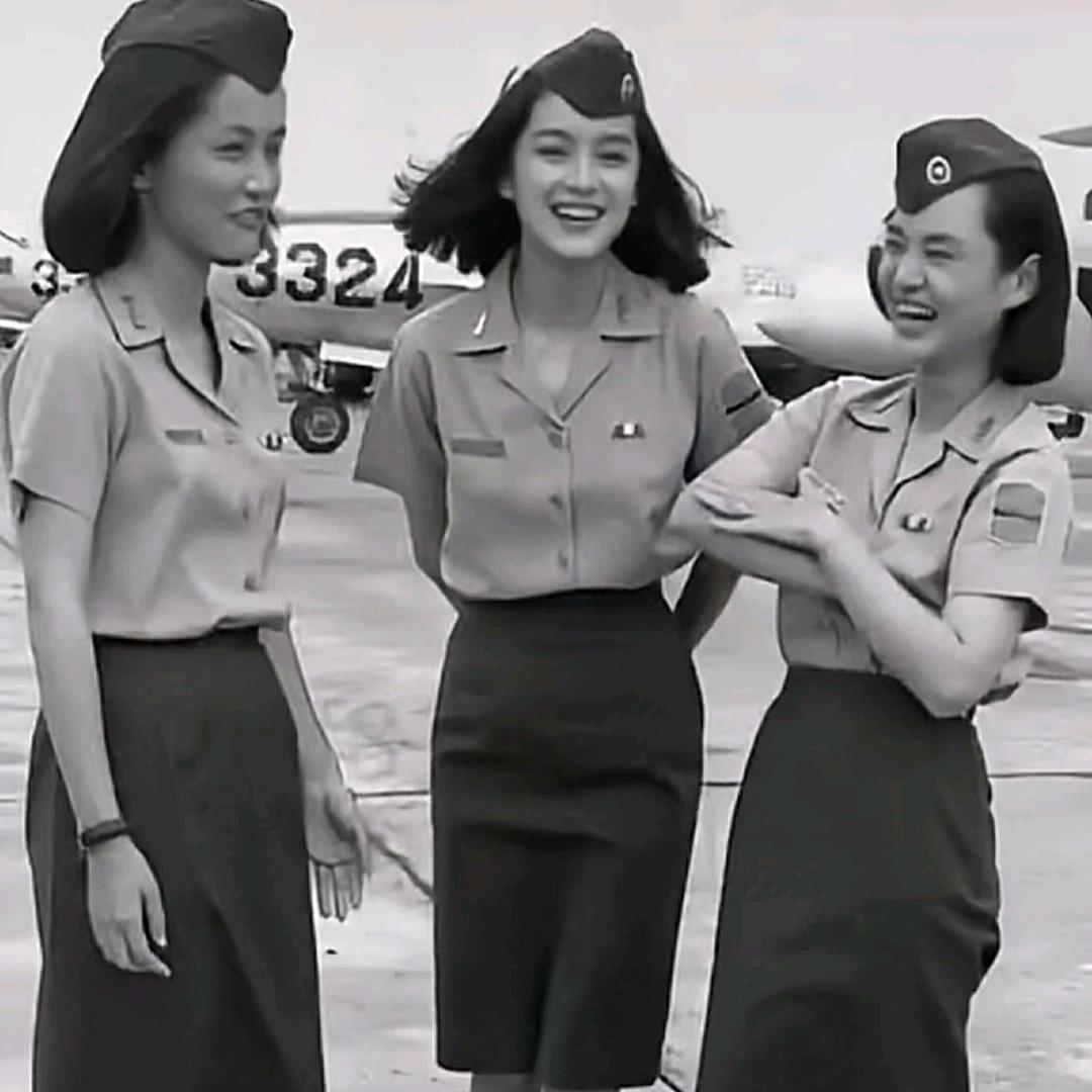 须尽欢