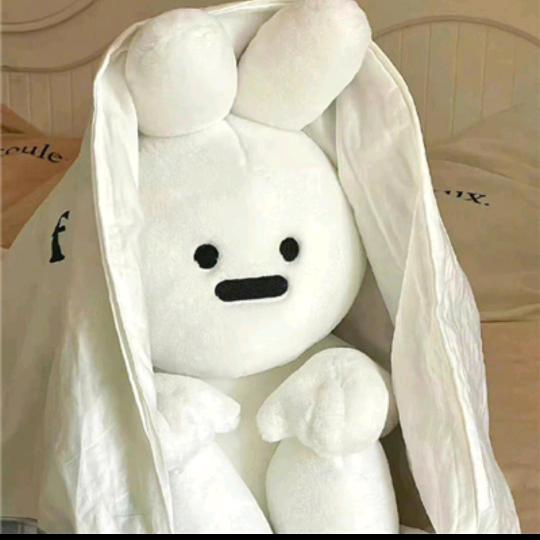 杏任小饼干ᥫᩣ༠°