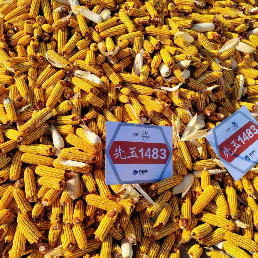 长子田田圈农资优品