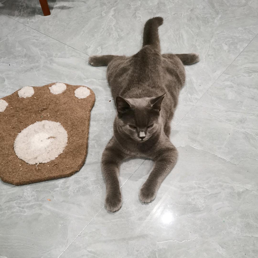 哈哈笑的妖怪