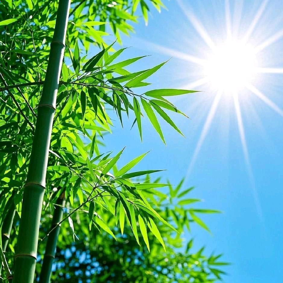 玉墨阁牡丹小艾