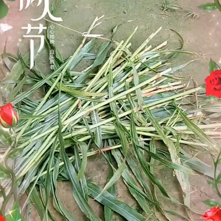 大美人