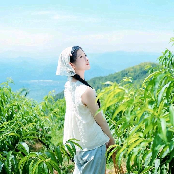 小西晨晨