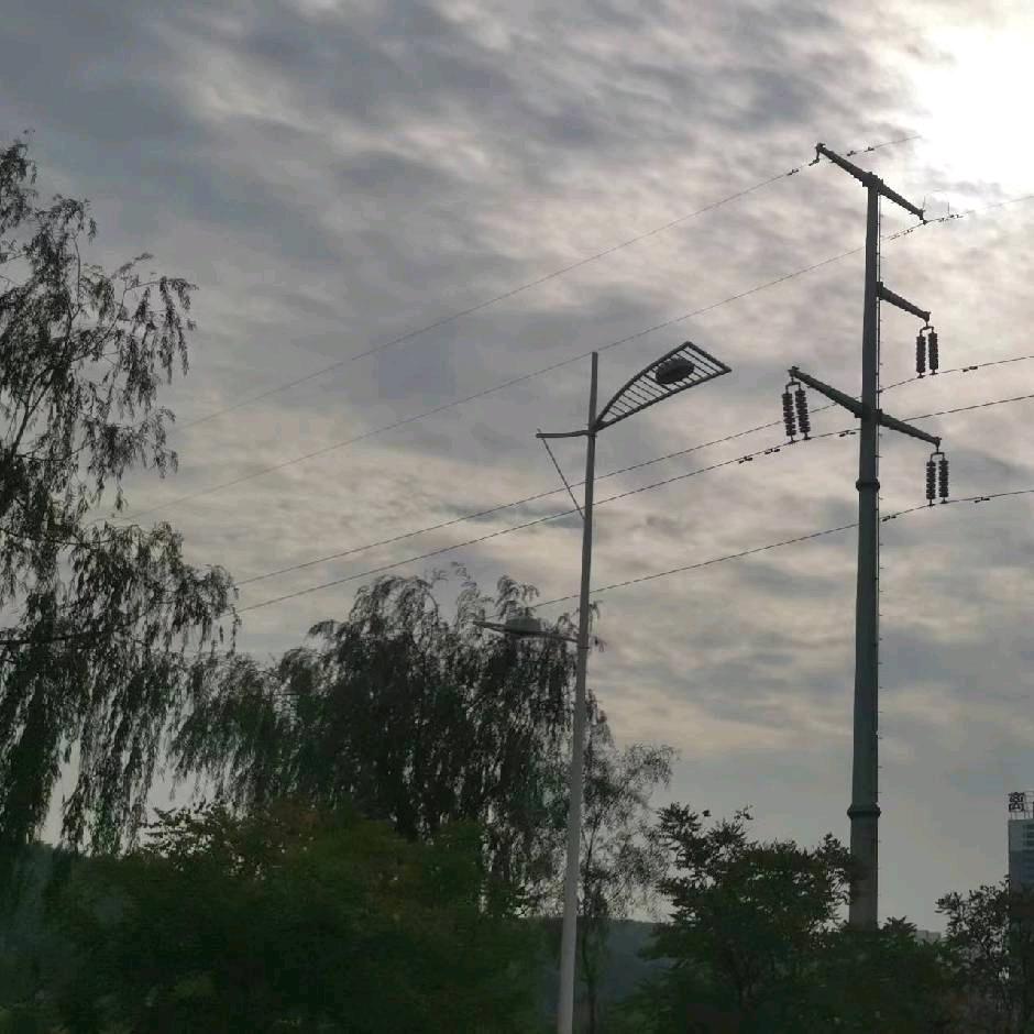相逢碧霄下