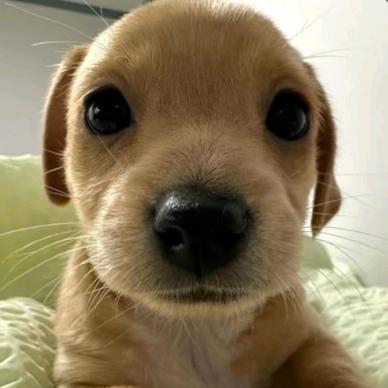 散了.