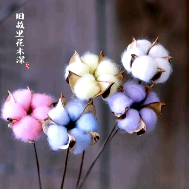 顾晓萍15026222236