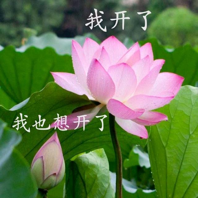 🌈小张不想上班🌈