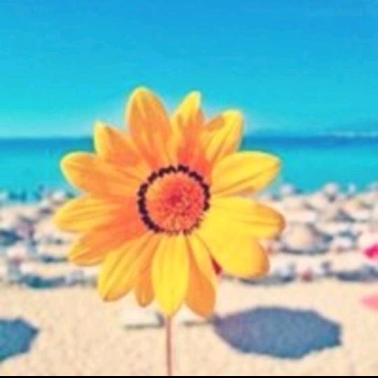 你若安好便是晴天