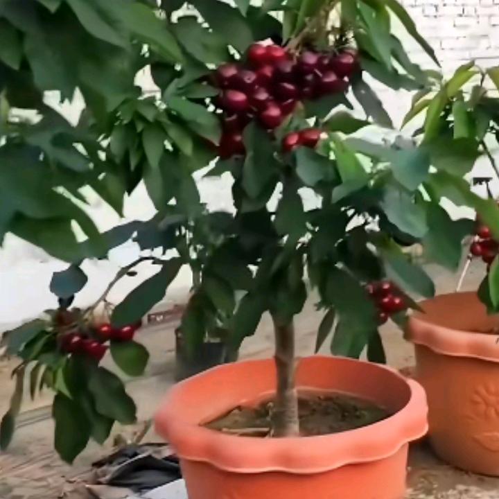 用户31843913