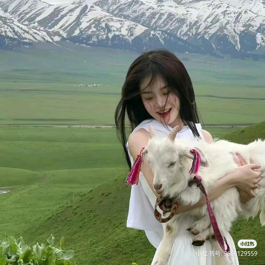 羊羊 🐏（见过王赫野版）