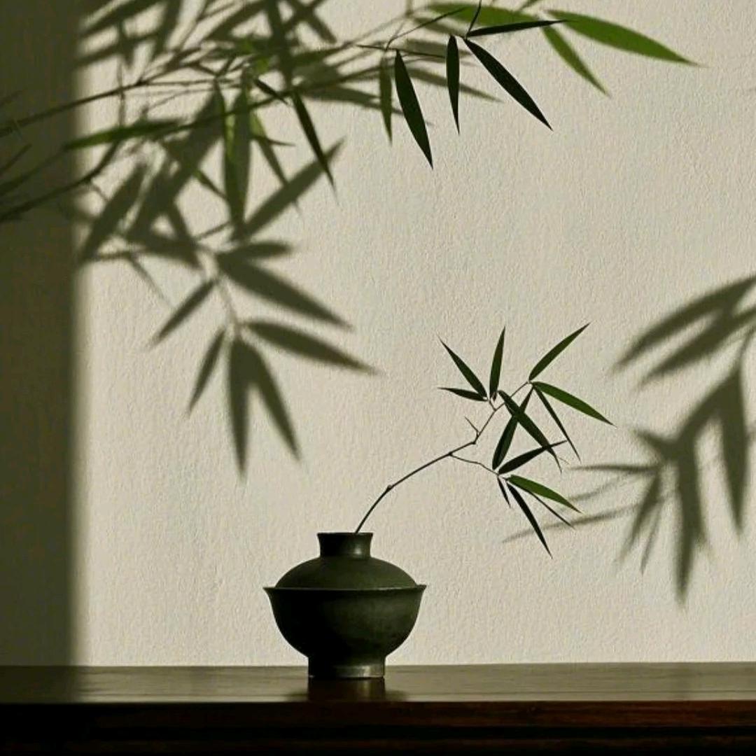 语清-知行