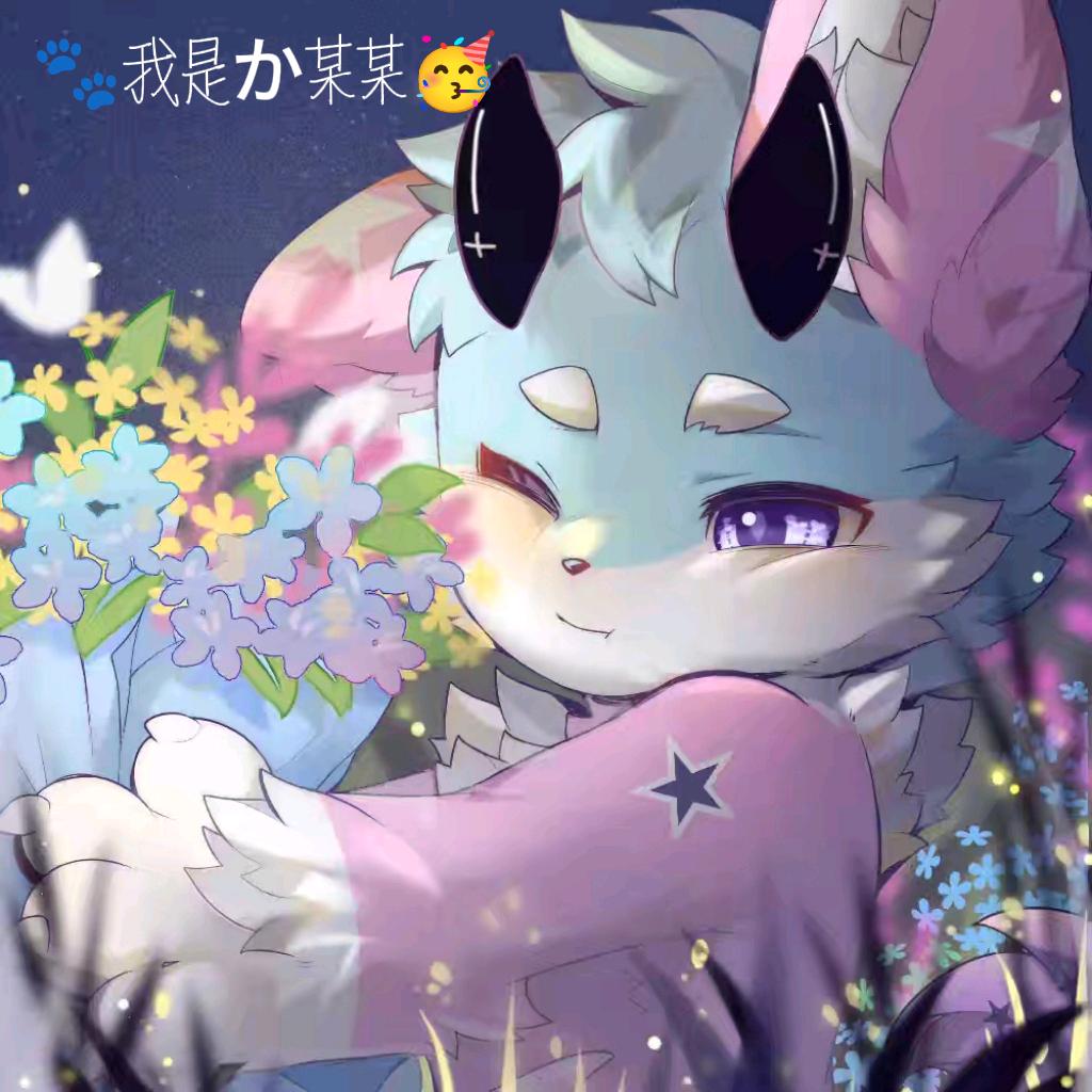 🐾我是か某某🥳