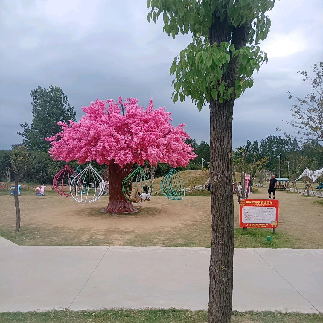 🌠🎑采🌇云☁️@（拒绝连续点赞