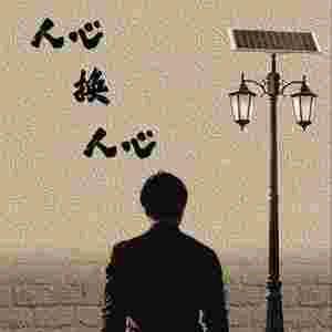 蓝田骆驼