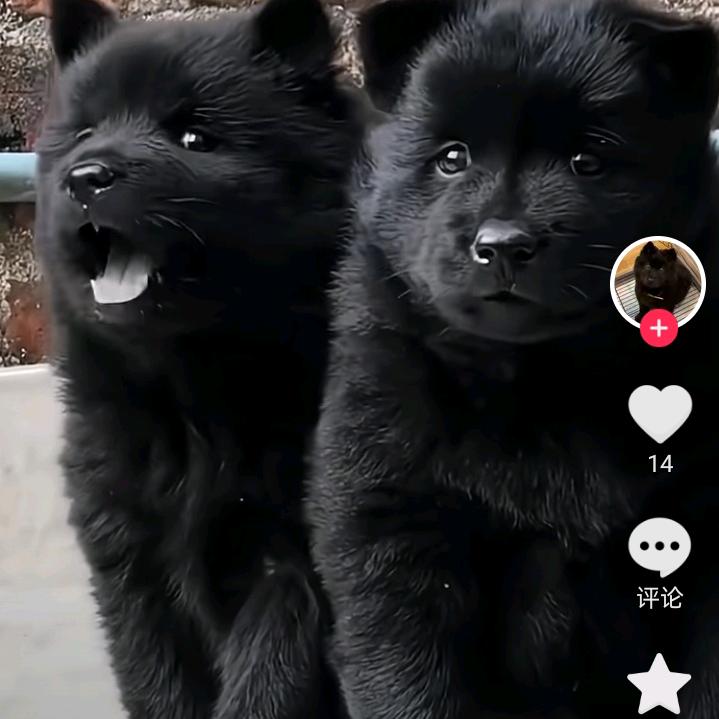 有缘无分