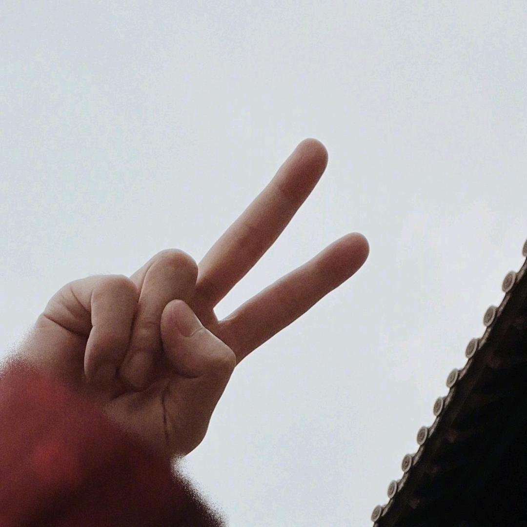 坚持就是胜利（不要连赞）