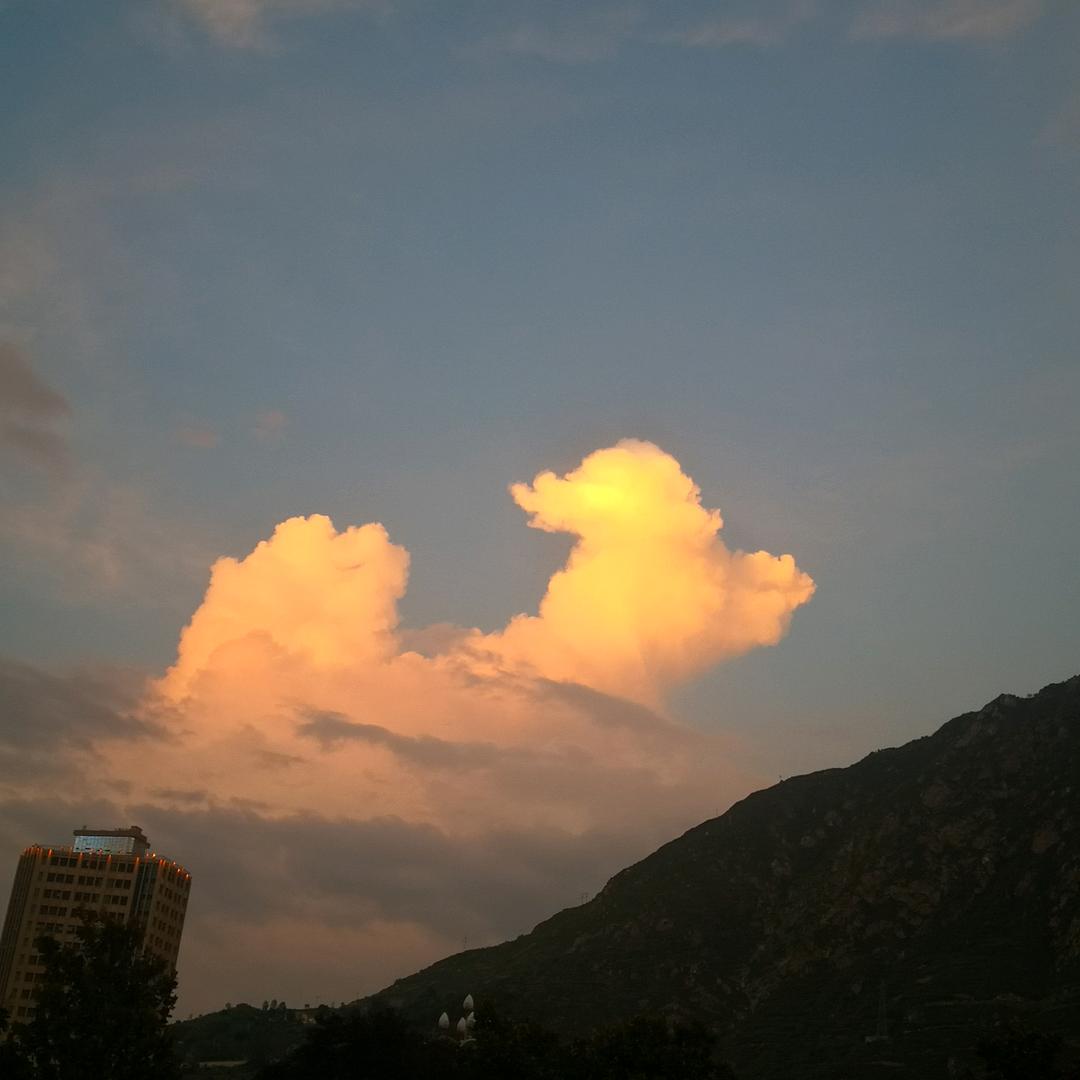 🌸🌟心像☀️阳光💪