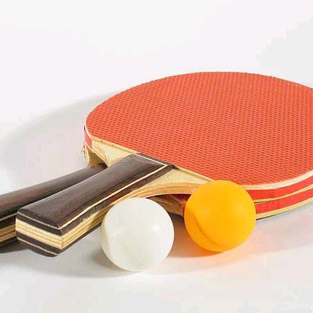 阳光乒乓球俱乐部.金域球馆