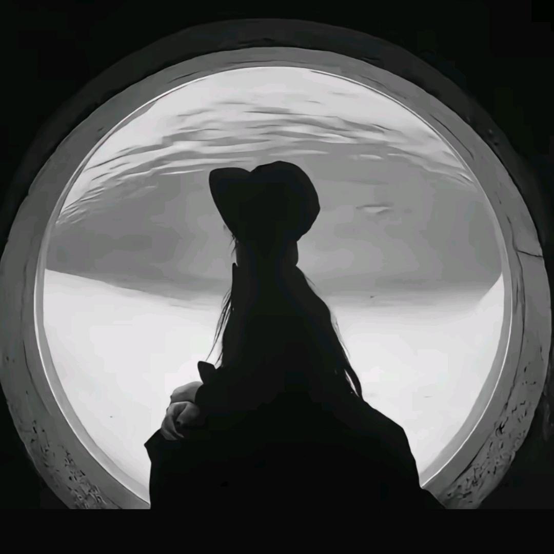 冯会财税