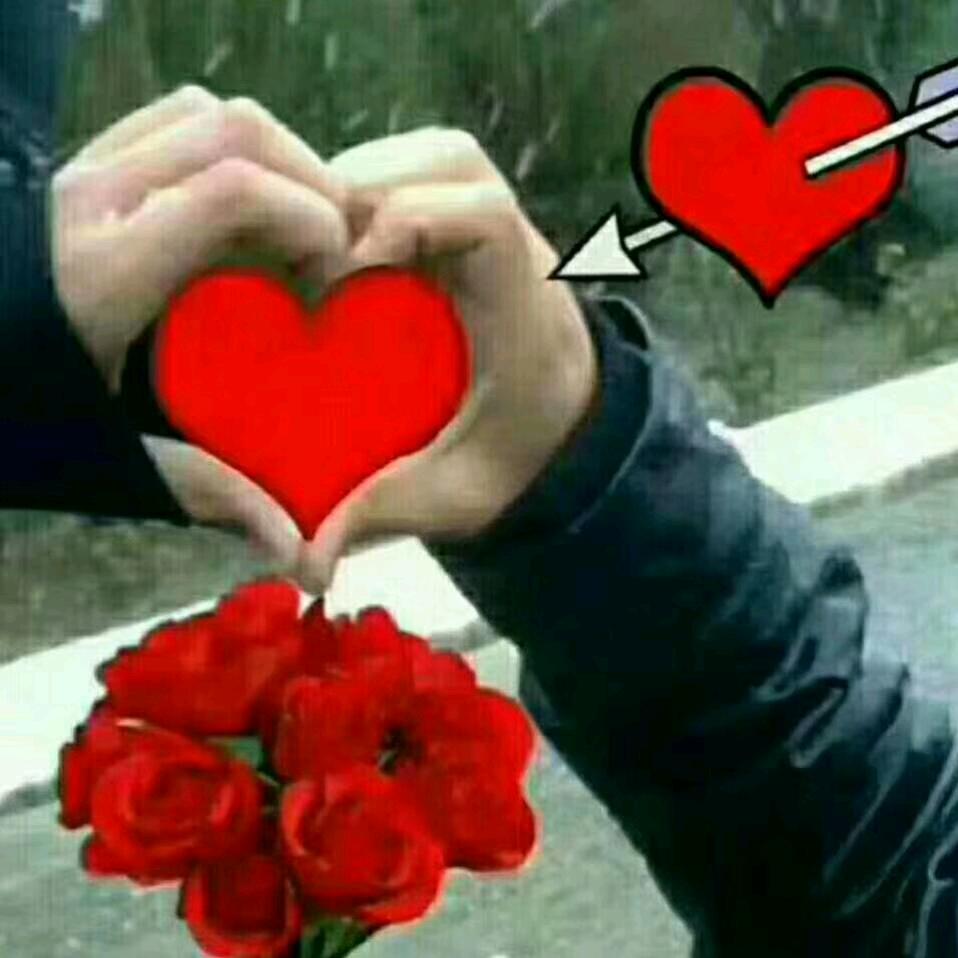 🖤🖤🥀ھامان ئےسلەيسە