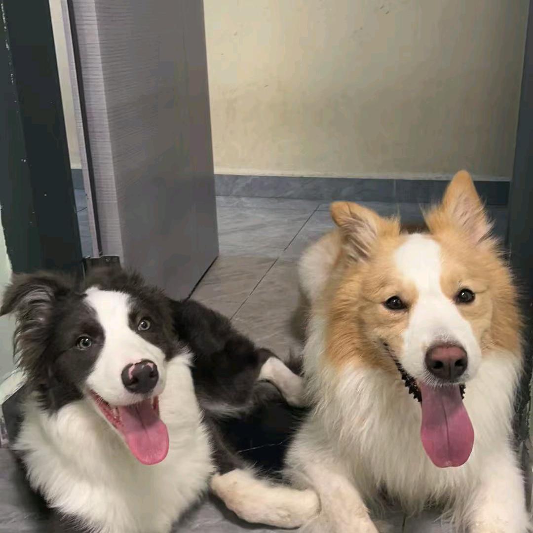 别喷，我是你孙子