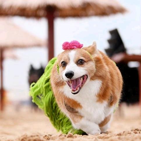 咖啡幼崽和Moon light女团合影啦