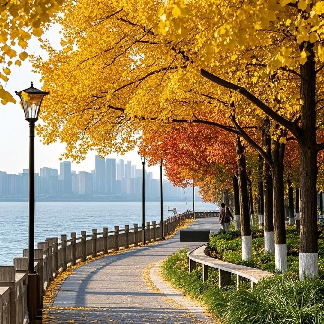 小楠原创健身操