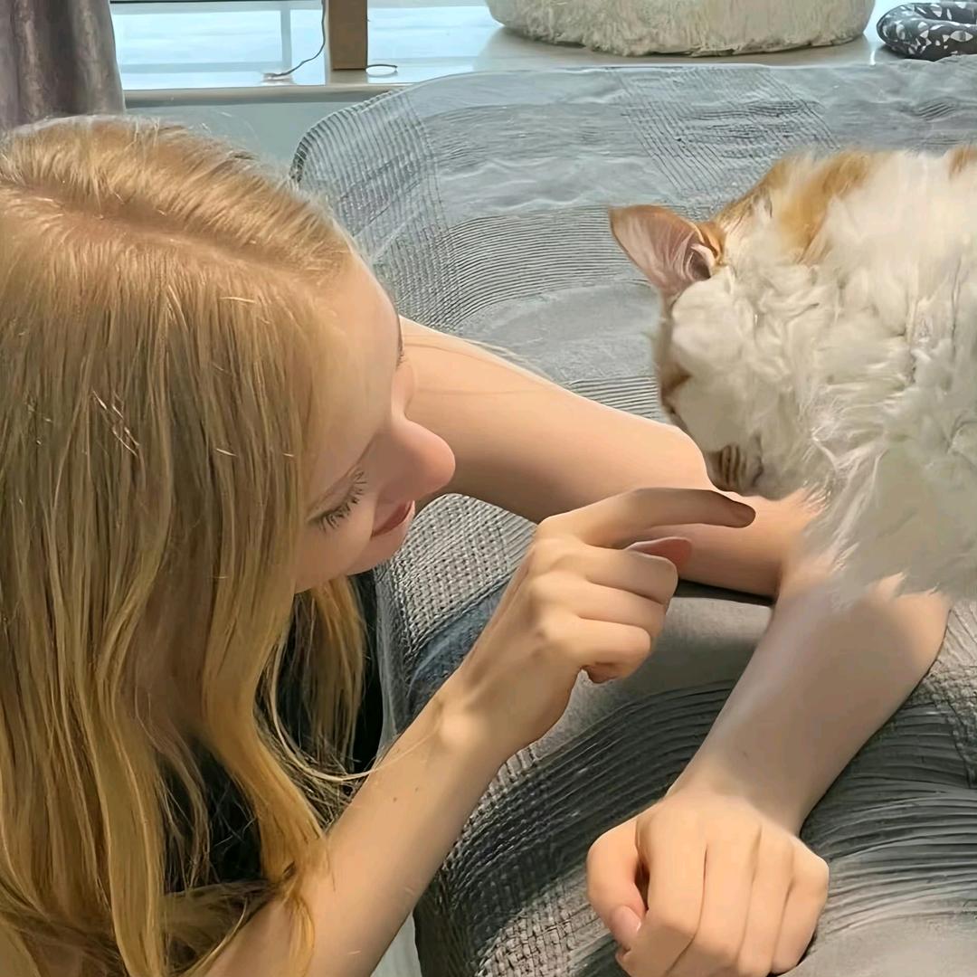 卡夫卡的🐏