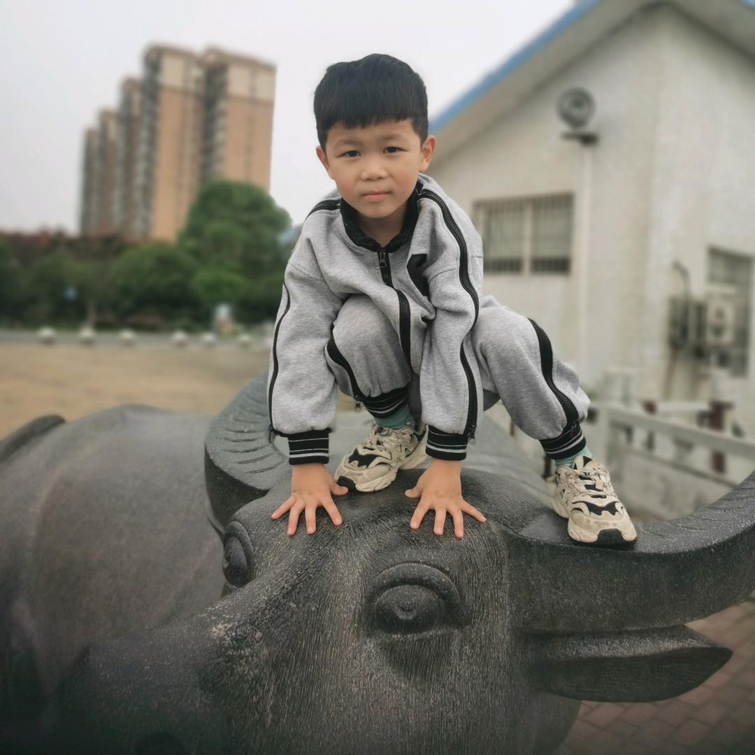 吴缘