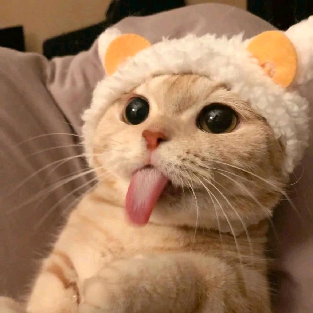 天哥