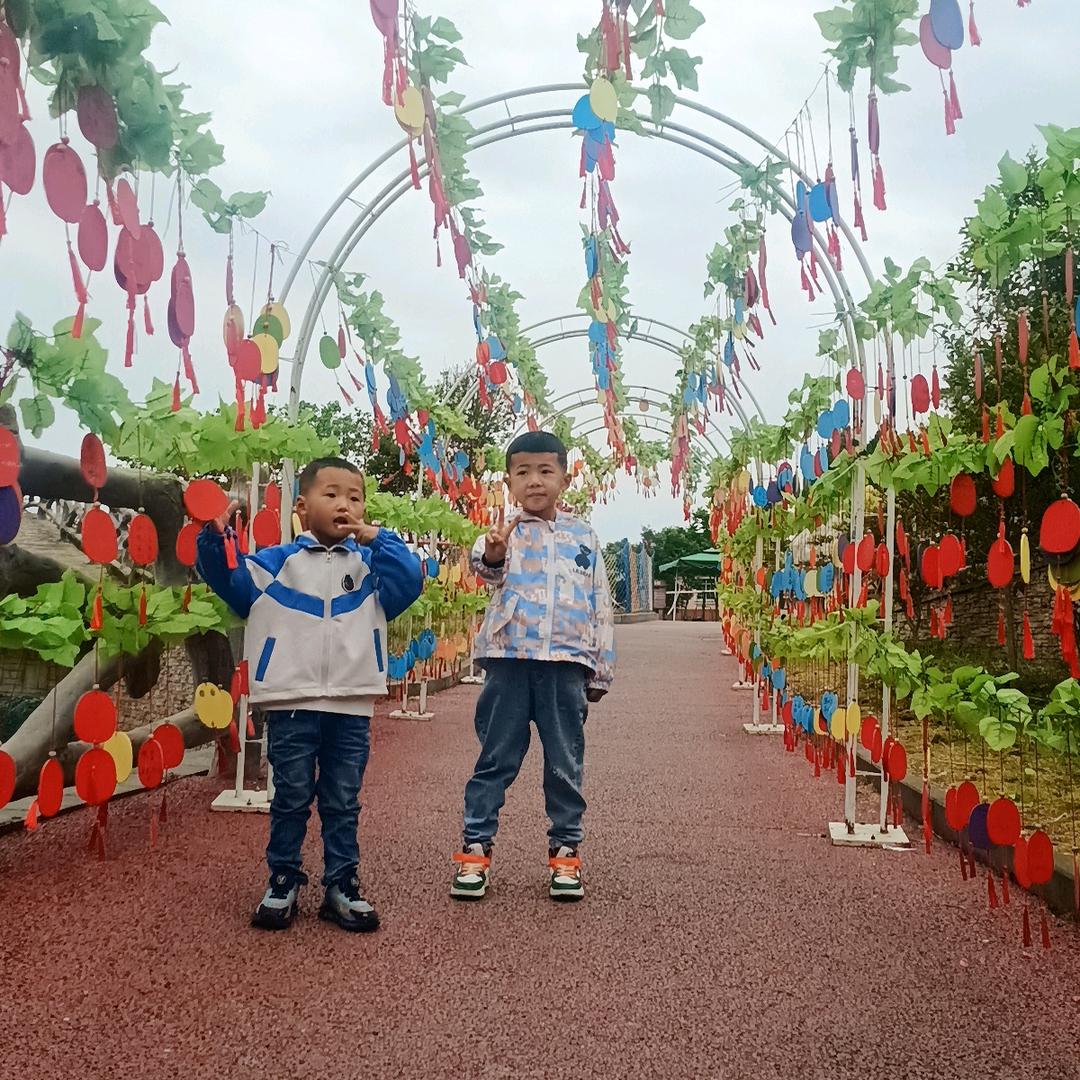 小燕子🚩🚩🚩🚩