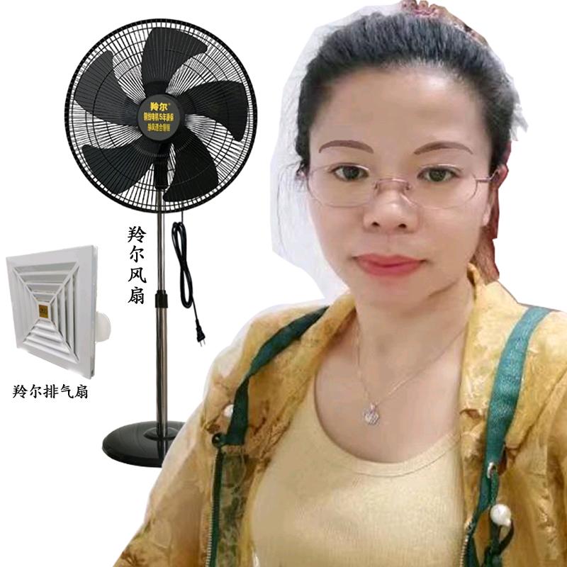 羚尔风扇💃（中午12点40分）