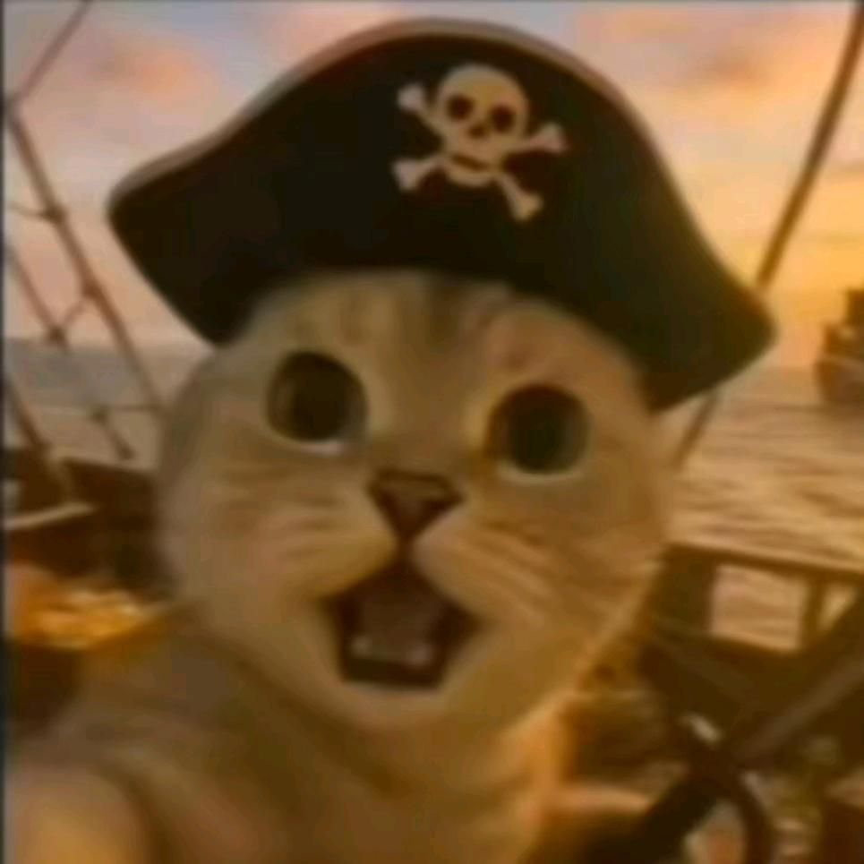 薛定谔的猫（招人限定版）