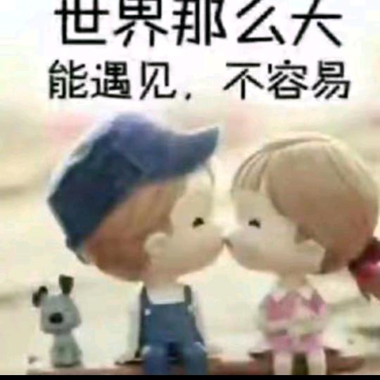 张氐家族