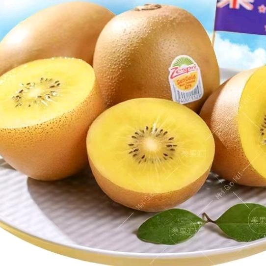 琴儿