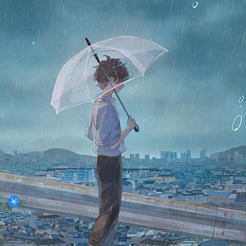 孤芳自赏