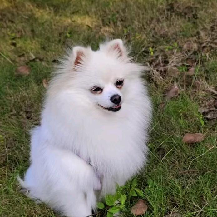 多多姐♥甜甜妹♥