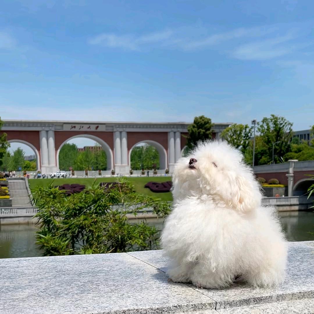 哈哈～(￣▽￣～)~