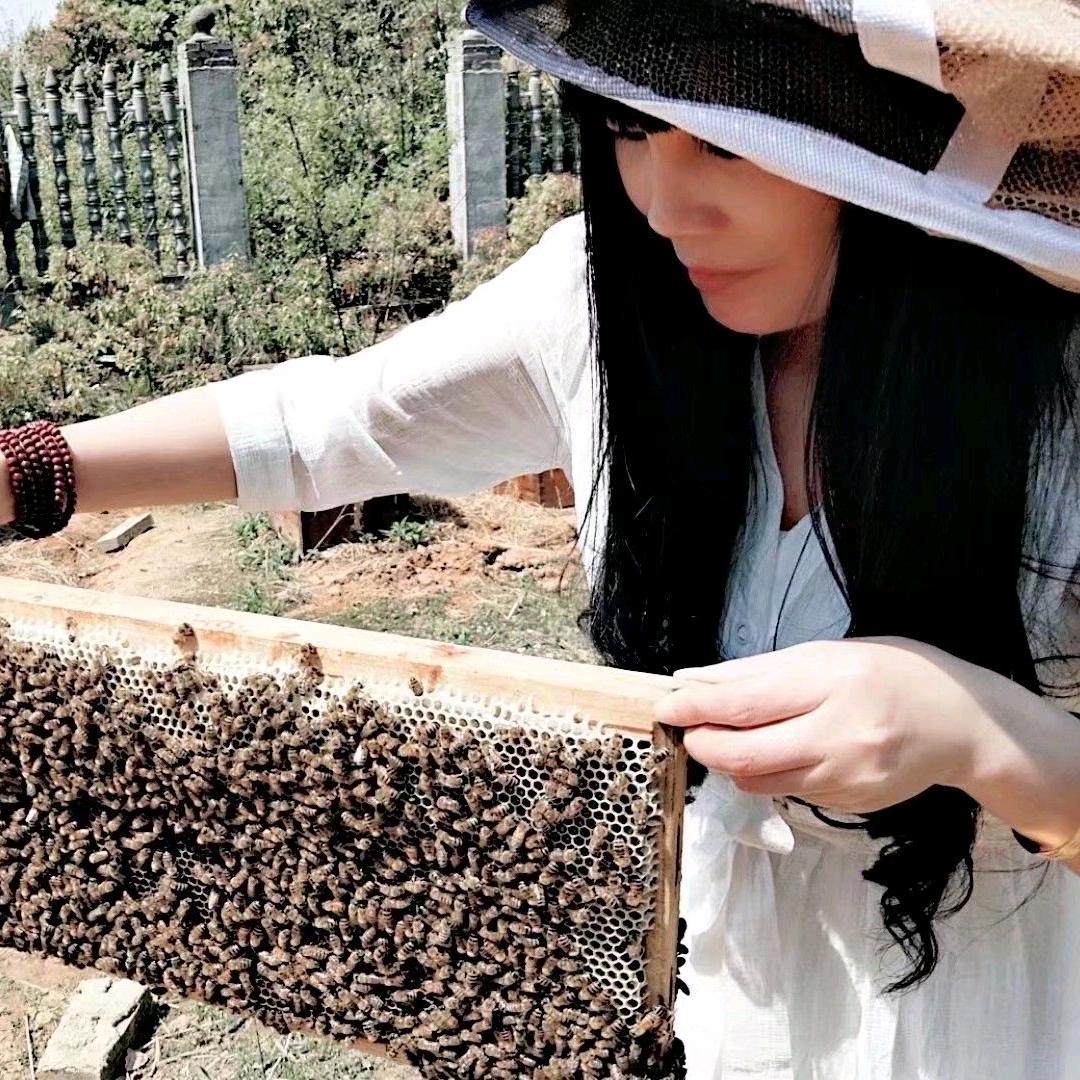 任记岳阳楼蜂业——任元香