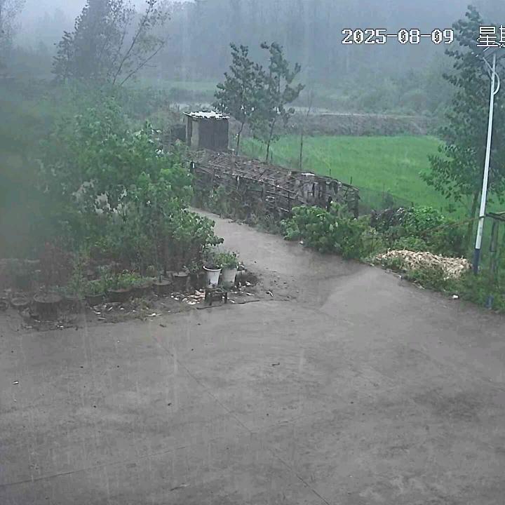 一闪而过