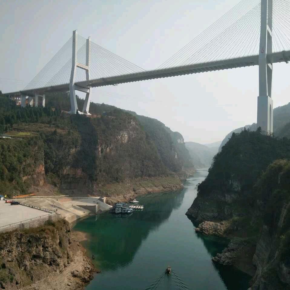 王治福