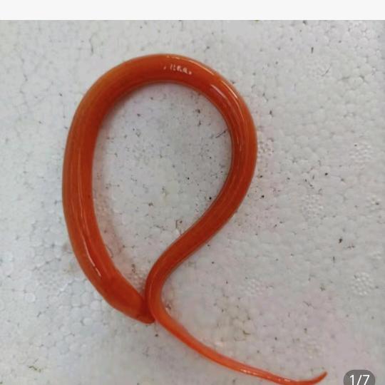 ☔️☔️☔️☔️下雨了