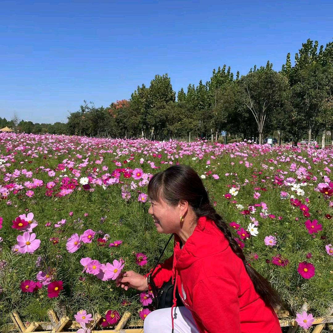 wangyuqin457