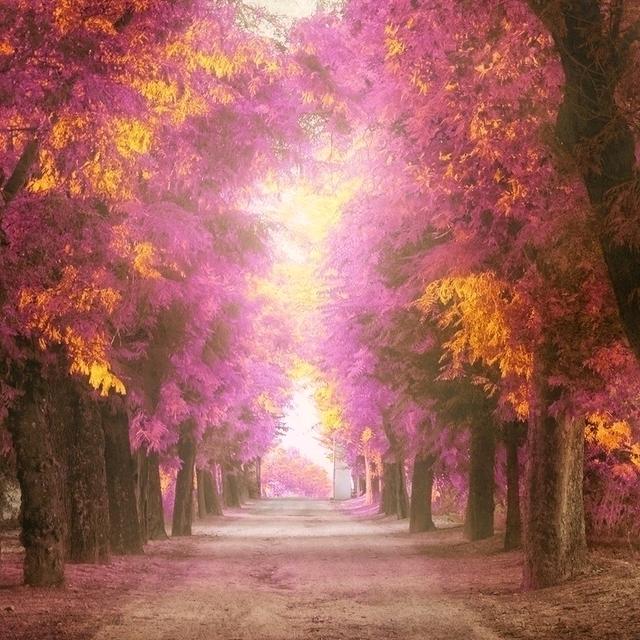 花落花开