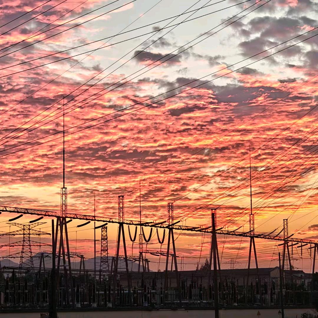 胖子就现在行动